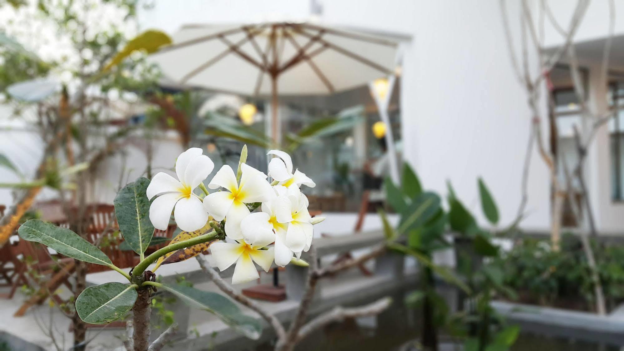 Chez Moi Suite & Spa Siem Reap Eksteriør billede